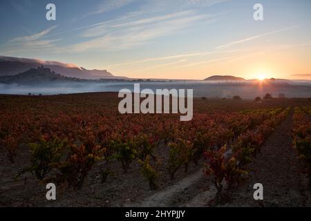 26/10/21 Dawn, San Vicente de la Sonsierra (la Rioja), Spagna. Foto di James Sturcke | sturcke.org Foto Stock