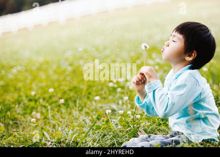 Scenario di un bambino giovane che soffia le spore di dente di leone nel vento in un campo verde in una fresca giornata di primavera Foto Stock