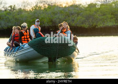 I turisti in un tour all'alba di Caleta Tortuga Negra, Isla Santa Cruz, Isole Galapagos, Ecuador. Foto Stock