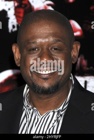 Forest Whitaker partecipa alla prima Street Kings, che si tiene al Grauman's Chinese Theatre di Los Angeles Foto Stock