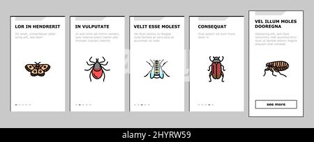 Insect, Spider e Bug Wildlife Onboarding icone Set Vector Illustrazione Vettoriale