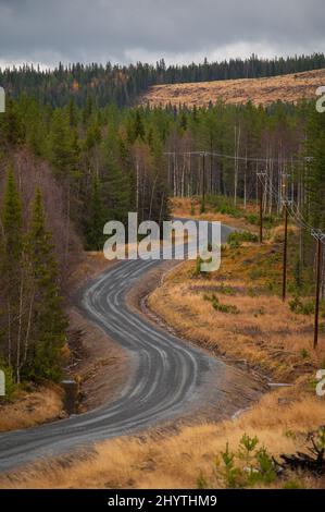 Colpo verticale di una strada curvilinea che attraversa una foresta Foto Stock