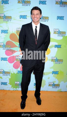 David Boreanaz al Fox All-Star Summer 2009 TCA Party, tenuto presso il Langham Resort & Spa di Pasadena. Foto Stock