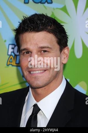 David Boreanaz al Fox All-Star Summer 2009 TCA Party, tenuto presso il Langham Resort & Spa di Pasadena. Foto Stock