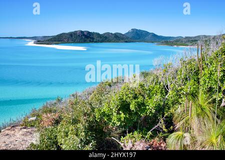 Whitsunday Island Panorama Da Hill Inlet Lookout, Australia. Foto Stock