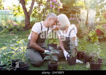 Amorevole coppia giardinieri maturi godendo di prendersi cura delle piante. Famiglia felice che abbraccia e tocca le fronte Foto Stock