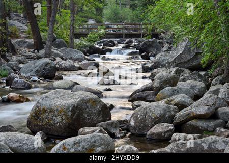 Un ponte pedonale attraversa il torrente presso il Woodbine Campground nella Custer Gallatin National Forest nel Montana, USA Foto Stock