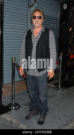 Don Johnson durante la proiezione 'Machete' di Los Angeles che si tiene al Teatro Orpheum, California Foto Stock