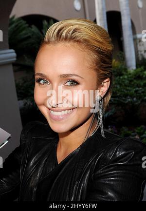 Hayden Panettiere al TCA Winter Press Tour 2011 - giorno 3 - Arrivi, che si tiene presso il Langham Hotel di Pasadena. Foto Stock