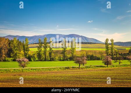 Paesaggio rurale con montagne sullo sfondo. Regione Turiec, Slovacchia, Europa. Foto Stock