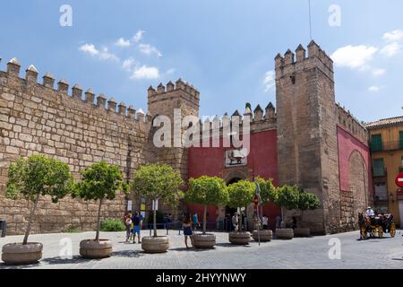 Puerta del León nel centro di Siviglia. È l'ingresso principale del Alcázar e prende il nome dal 19th secolo. Foto Stock