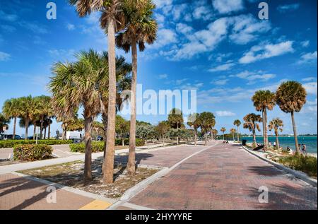 Palme e parco lungo Rickenbacker Causeway, Maimi. Foto Stock