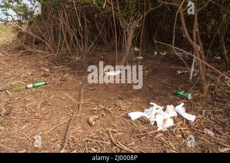 Carta igienica scartata, rave illegale, Dale Airfield, maggio 2010, Pembrokeshire, Galles, Regno Unito, Europa Foto Stock