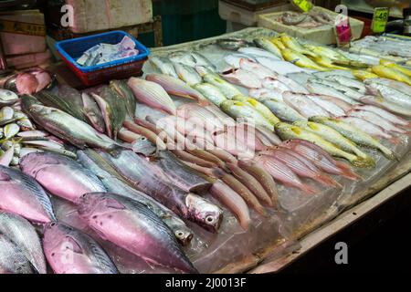 Diversi tipi di pesce sono venduti in un mercato umido a Hong Kong, Cina. Foto Stock