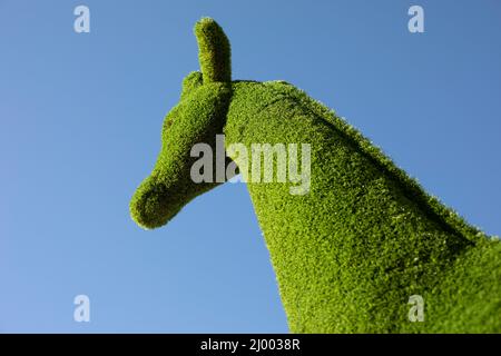 Giraffa in erba. Figura giardino di giraffa. Testa di animale contro il cielo. Dettagli del parco. Foto Stock