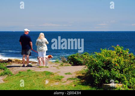 Una coppia ed il loro animale domestico prendono nella vista della costa del Maine Foto Stock