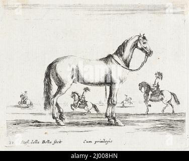 Un cavallo. Stefano della Bella (Italia, Firenze, 1610-1664). Italia, 1641. Stampe; incisioni. Acquaforte Foto Stock