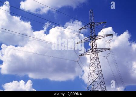 Nuova Zelanda. Waikato. Pilone elettrico. Foto Stock