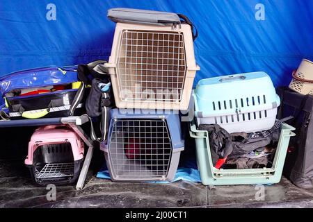 Przemysl, Polonia. 15th Mar 2022. Le scatole di trasporto portate da German Animal Rescue sono pronte per gli animali dei rifugiati provenienti dall'Ucraina, al valico di frontiera di Medyka. Molte persone in fuga dalla guerra dall'Ucraina arrivano in treno qui al confine in Polonia, e poi continuano il loro viaggio in autobus o altro. Credit: Christoph Reichwein/dpa/Alamy Live News Foto Stock