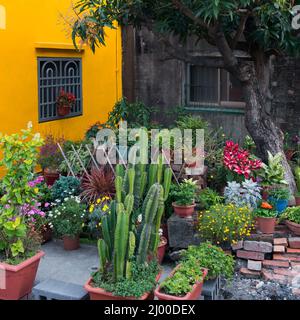 Cortile decorato con molti fiori in vaso Foto Stock