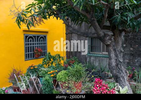 Cortile decorato con molti fiori in vaso Foto Stock