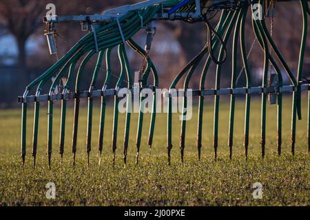 Primo piano di spandimento di concime liquido Foto Stock