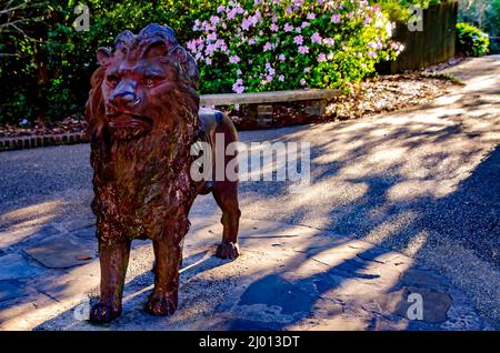 Le azalee indiane del sud (Rhododendron) sbocciano dietro una statua di leone di ghisa sul Lion Overlook nei Giardini Bellingrath a Theodore, Alabama. Foto Stock