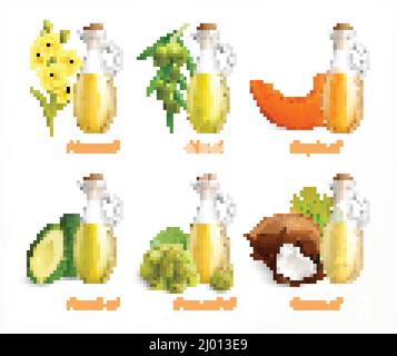 Olii alimentari realistico set di icone con senape oliva zucca avocado semi d'uva e olio di cocco illustrazione vettoriale Illustrazione Vettoriale