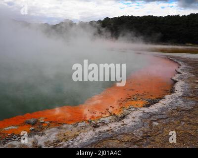 Primo piano del lago Rotorua parzialmente coperto di vulcano in Nuova Zelanda in una giornata calda Foto Stock
