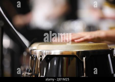 Un primo piano di mani in movimento o in movimento che suonano i tamburi in stile congas o bongo in una sezione di percussioni di una band o di un'orchestra. Pelle del tamburo a fuoco. Foto Stock