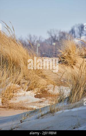 Neve d'inverno che copre dune di sabbia nel Michigan Foto Stock