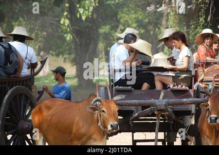 I viaggiatori thailandesi e stranieri si siedono su carrello di mucca viaggio visitare l'antica architettura e le rovine edificio al si Satchanalai Historical Park World Heritag Foto Stock