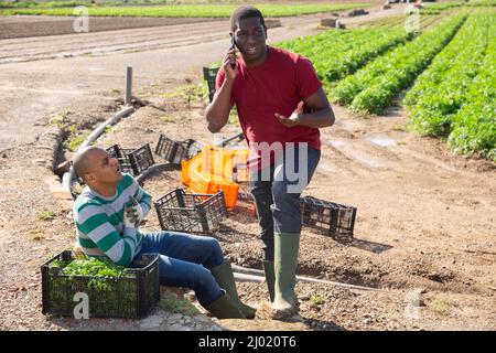 Operatore agricolo latino-americano sensazione di dolore toracico, compagno di lavoro africano chiamata medico Foto Stock
