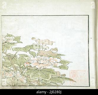 Uno specchio di bellezze concorrenti delle Green Houses. Katsukawa Shunshō (Giappone, 1726-1792)Kitao Shigemasa (Giappone, 1739-1820). Giappone, 1776. Libri. Stampa a blocchi di legno a colori Foto Stock