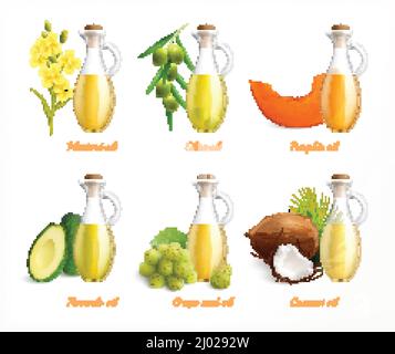 Olii alimentari realistico set di icone con senape oliva zucca avocado semi d'uva e olio di cocco illustrazione vettoriale Illustrazione Vettoriale