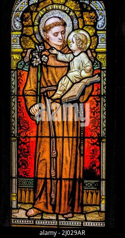 Sant'Antonio di Padova Stained Glass Basilica Chiesa Immacolata Concezione Beata Mary Phoenix Arizona Anthony Portuguese saint potente predicatore CH Foto Stock