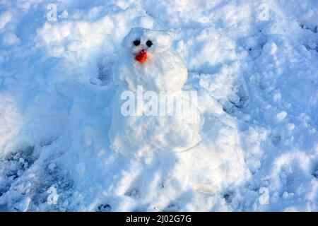 Un bellissimo pupazzo di neve bianco con carote arancioni e occhi neri. Pupazzo di neve in inverno, primo piano di foto. Foto Stock