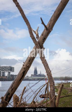 Una capanna costruita dal flotsam ai prati del Reno a poll, vista alle gru nel porto di Rheinau e alla cattedrale, Colonia, Germania. Eine aus T. Foto Stock