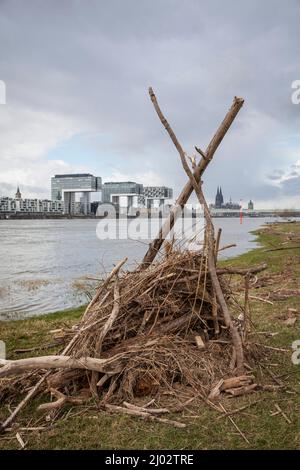 Una capanna costruita dal flotsam ai prati del Reno a poll, vista alle gru nel porto di Rheinau e alla cattedrale, Colonia, Germania. Eine aus T. Foto Stock