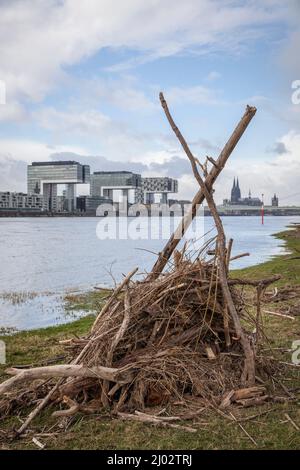 Una capanna costruita dal flotsam ai prati del Reno a poll, vista alle gru nel porto di Rheinau e alla cattedrale, Colonia, Germania. Eine aus T. Foto Stock