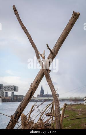 Una capanna costruita dal flotsam ai prati del Reno a poll, vista alle gru nel porto di Rheinau e alla cattedrale, Colonia, Germania. Eine aus T. Foto Stock