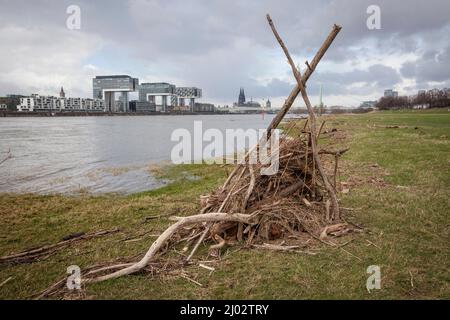 Una capanna costruita dal flotsam ai prati del Reno a poll, vista alle gru nel porto di Rheinau e alla cattedrale, Colonia, Germania. Eine aus T. Foto Stock