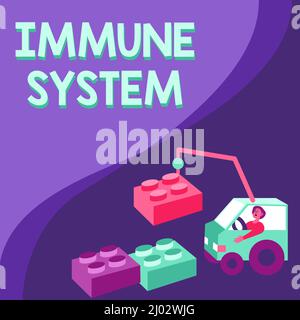 Scrittura visualizzazione testo sistema immunitario. Sistema di difesa dell'ospite della foto concettuale comprendente molte strutture biologiche l'uomo in Crane che si muove intorno ai blocchi Foto Stock