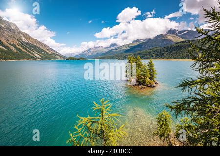 Splendida vista sul lago di Silsersee (Sils) e picco Piz Corvatsch. Scena pittoresca e splendida. Popolare attrazione turistica. Posizione posiziona Ing. Superiore Foto Stock