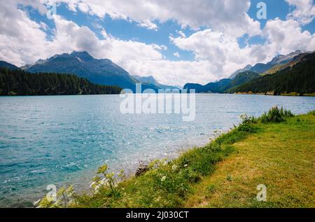 Vista incredibile sull'azzurro lago Silsersee (Sils). Scena pittoresca e splendida. Popolare attrazione turistica. Ubicazione luogo alta valle Engadina, Gris Foto Stock