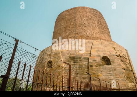 Dhamekh Stupa Sarnath rovine a Varanasi, India Foto Stock