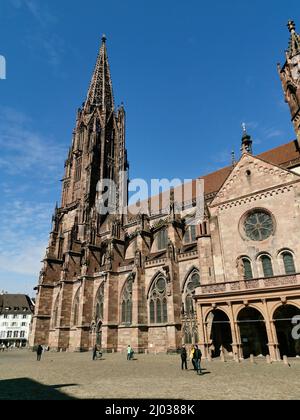 Freiburger Münster, Münster Unserer Lieben Frau, Römisch-katholische Stadtpfarrkirche von Freiburg im Breisgau, Baden-Württemberg, Deutschland / Fre Foto Stock