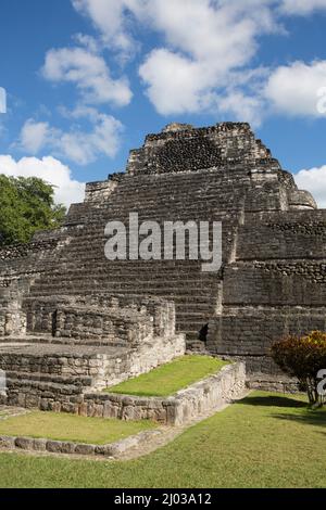 Tempio 1, Sito Maya, zona archeologica di Chacchoben, Chacchoben, Stato Quintana Roo, Messico, Nord America Foto Stock