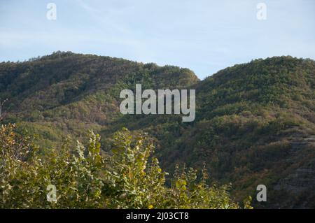 Vista sulle colline toscane da montagna, Provincia d'Arezzo, Toscana, Italia. Colline, alberi, valle, vegetazione; colori autunnali; autn Foto Stock