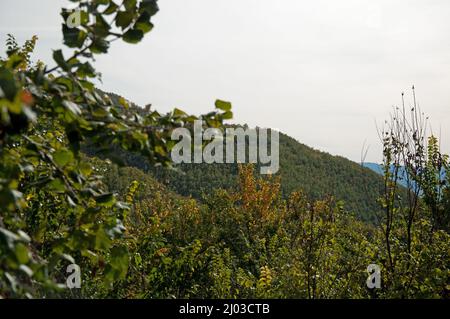 Vista sulle colline toscane da montagna, Provincia d'Arezzo, Toscana, Italia. Colline, alberi, valle, vegetazione; colori autunnali; autn Foto Stock